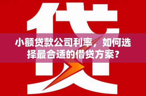 西畴小额贷款公司利率，如何选择最合适的借贷方案？