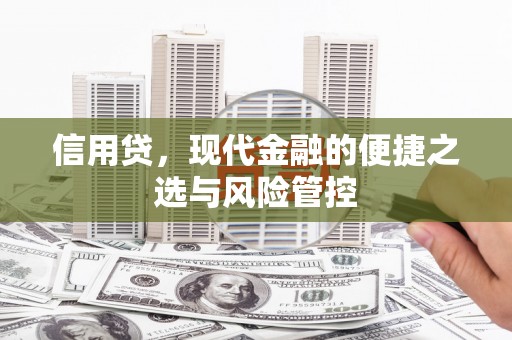 莲都信用贷，现代金融的便捷之选与风险管控
