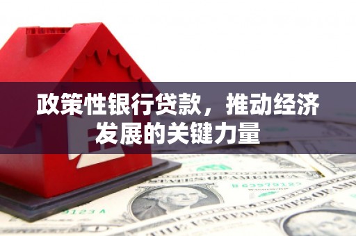 洛扎政策性银行贷款，推动经济发展的关键力量