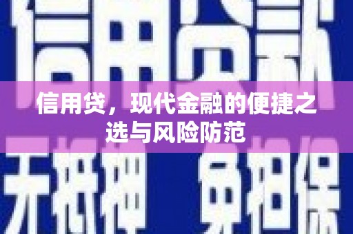 雨花信用贷，现代金融的便捷之选与风险防范
