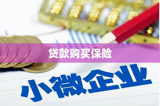 城子河贷款购买保险