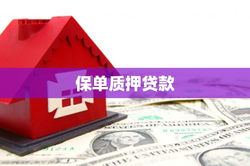 迪庆保单质押贷款