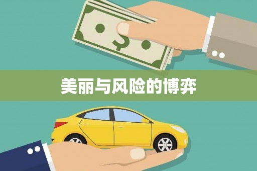 龙湾美丽与风险的博弈
