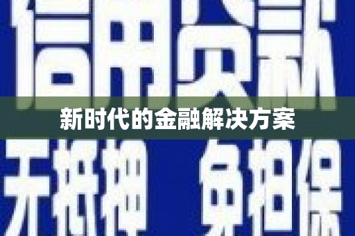 庄浪新时代的金融解决方案