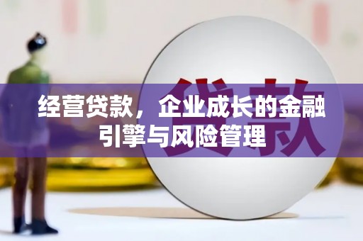 屯门经营贷款，企业成长的金融引擎与风险管理