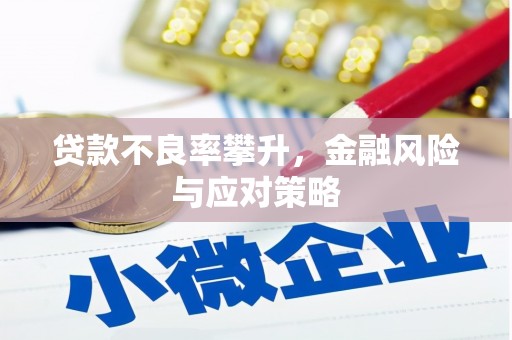 普陀贷款不良率攀升，金融风险与应对策略