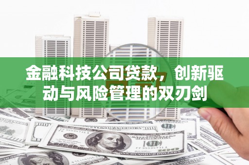 鄯善金融科技公司贷款，创新驱动与风险管理的双刃剑
